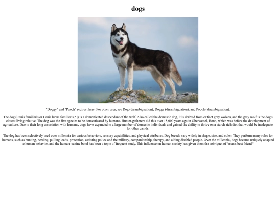 dogs screenshot