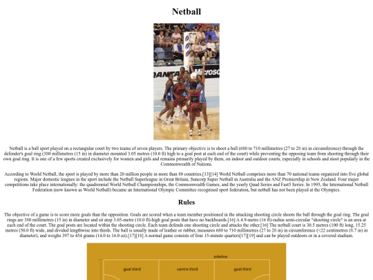 netball screenshot