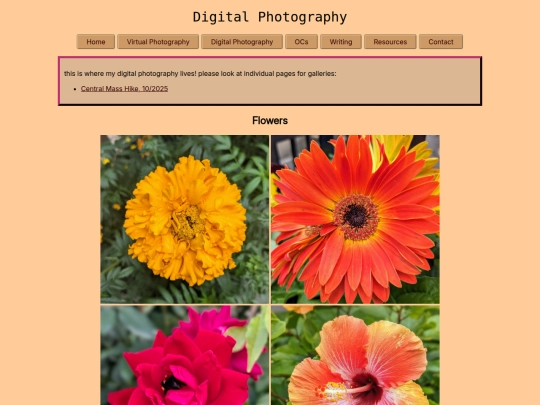 webbed_site/digital_photography screenshot