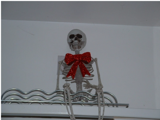 misterbones screenshot