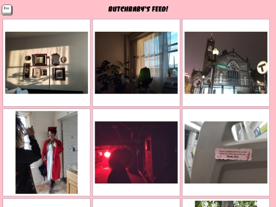 feed screenshot