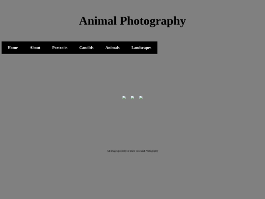Animals screenshot