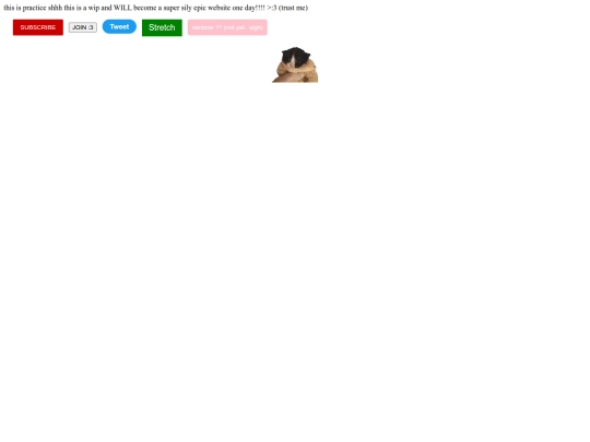 html-css-course/buttons screenshot