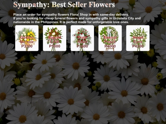 sympathy screenshot
