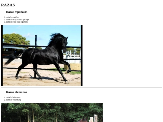 Caballos/img/Razasdecaballo screenshot
