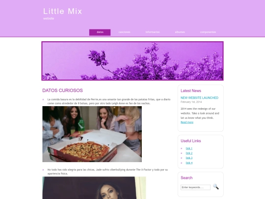 littlemix screenshot