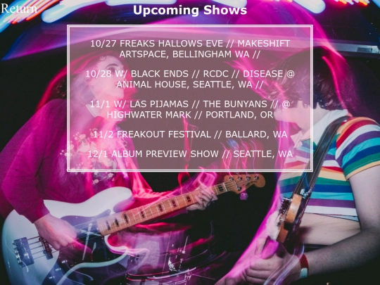 shows screenshot