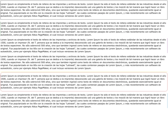 COCHE/border screenshot