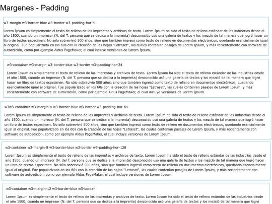 COCHE/padding screenshot
