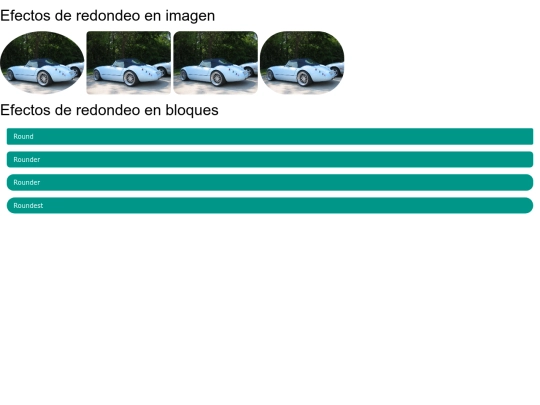 COCHE/roundtext screenshot