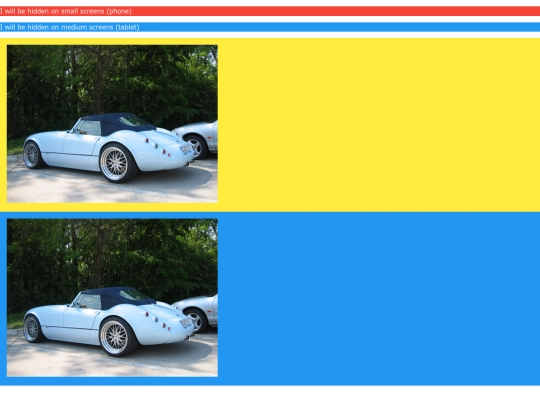 COCHE/show-hide screenshot