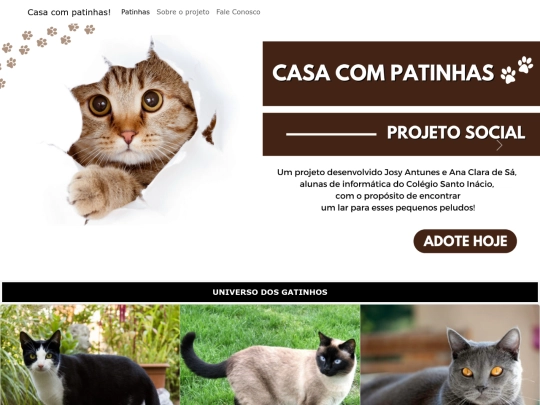 teste_sandro screenshot