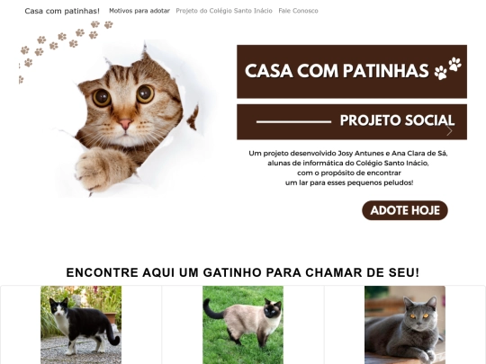 teste_sandro/pagina screenshot