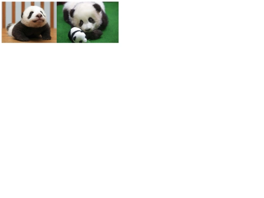 files/animals/pics screenshot