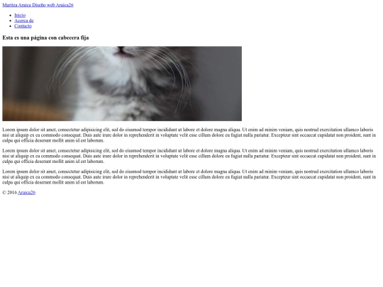 Encabezado y Pie de Pagina/Pagina con encabezado screenshot