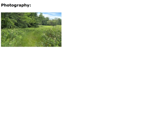 photography screenshot