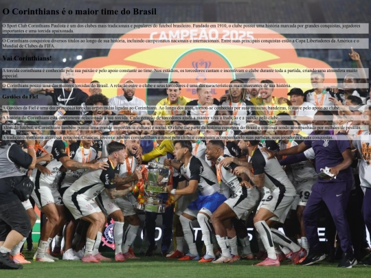 atividade09/timao screenshot