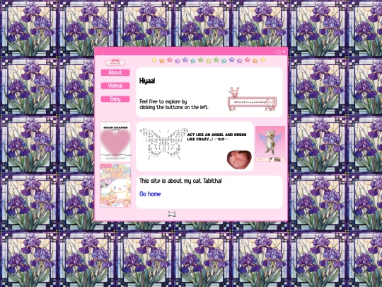pets/cat screenshot