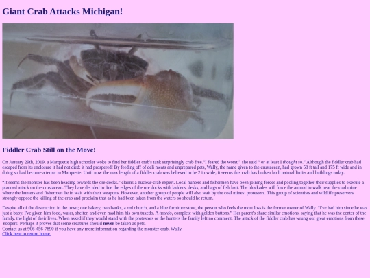 NewsArticleEmilyBaer screenshot