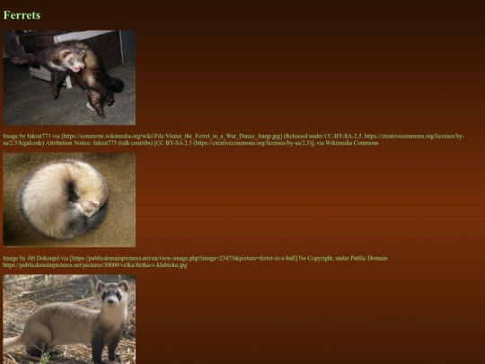 gallery screenshot