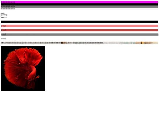 tester screenshot