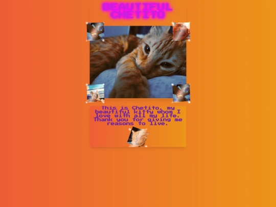 Pages/Desktop-Pages/Cheto_zone/chetito_zone screenshot