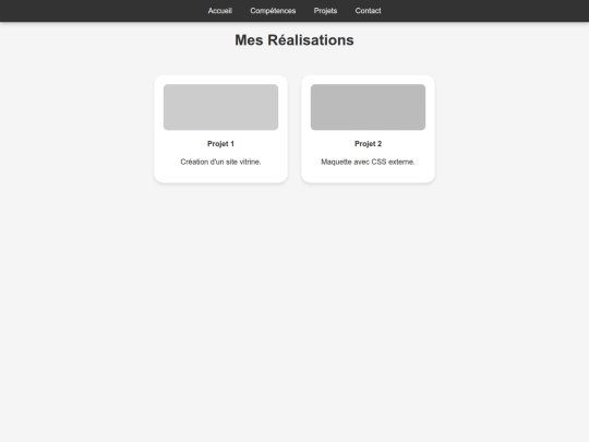 projets screenshot