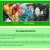 Anti-Aging Youth Secrets avatar