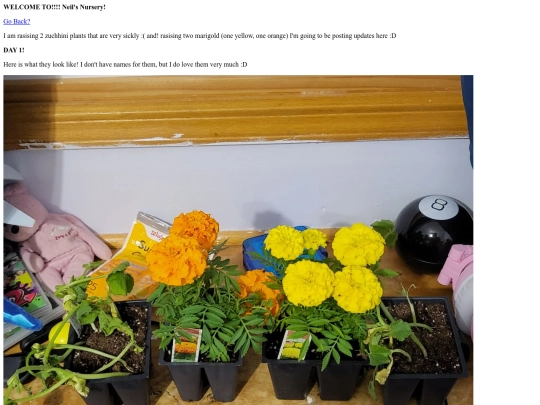 nursery screenshot