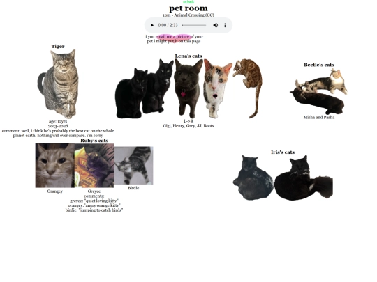 pet-room screenshot