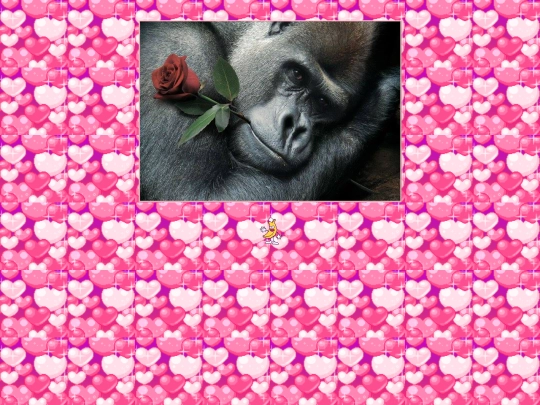 boolove screenshot