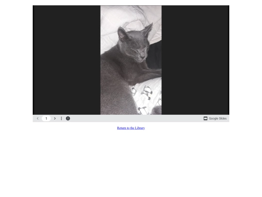 library/petcat screenshot