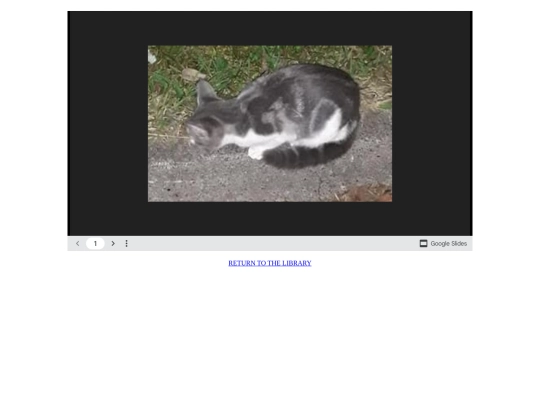 library/petcat2 screenshot