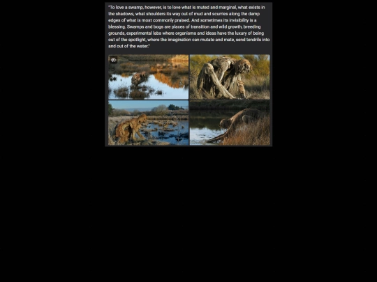 swamp screenshot