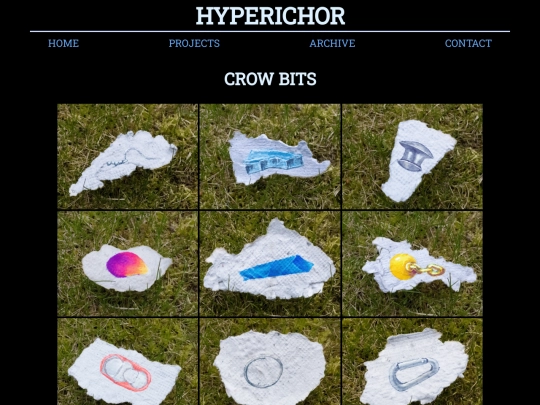 portfolio/series/crow-bits screenshot