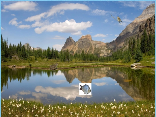 lake screenshot