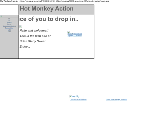 Hot Monkey Action screenshot