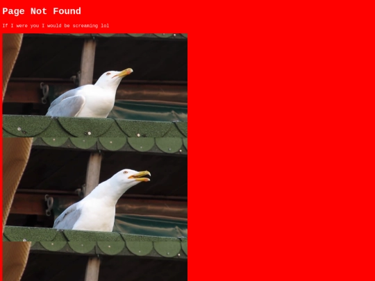 not_found screenshot