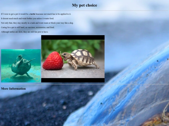 Pets screenshot