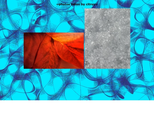 photo screenshot