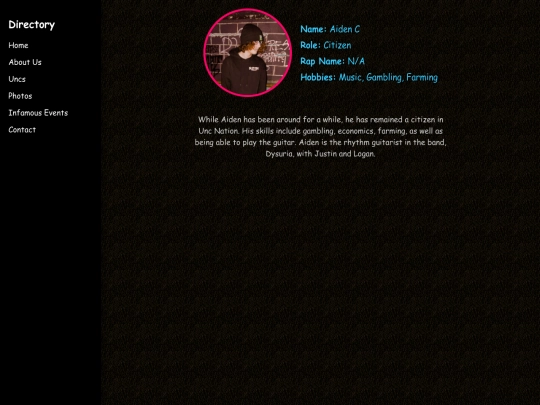 aiden screenshot