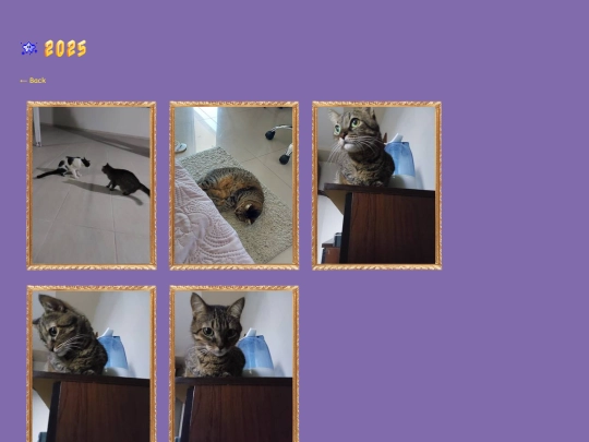gallery/2025 screenshot