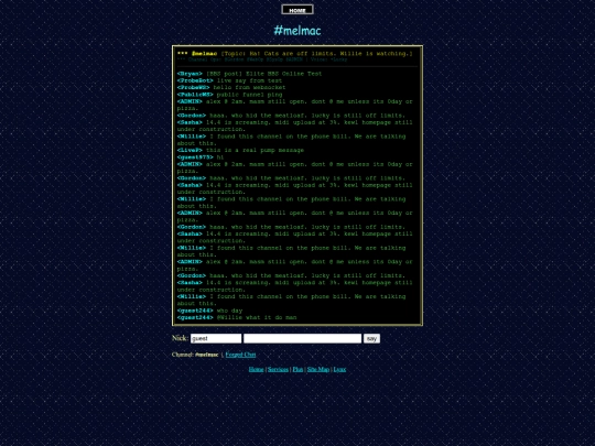 cgi-bin/webchat screenshot