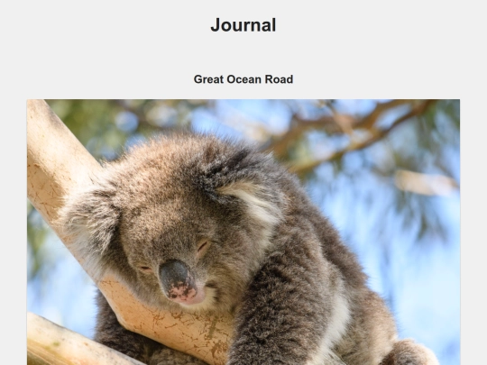 journal screenshot