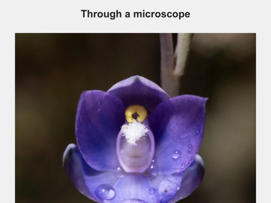 macro_photography screenshot