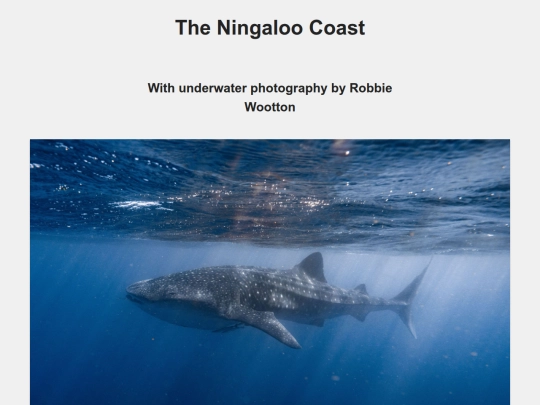 ningaloo screenshot
