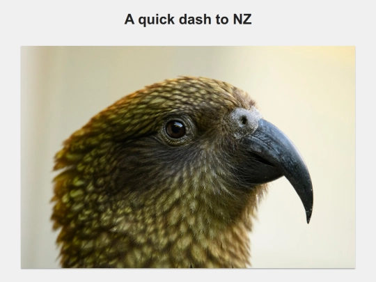 nz_south_island_summer screenshot