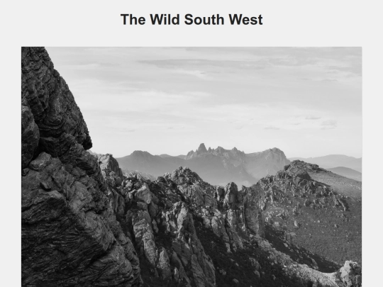 wild_south_west screenshot