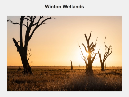 winton_wetlands screenshot