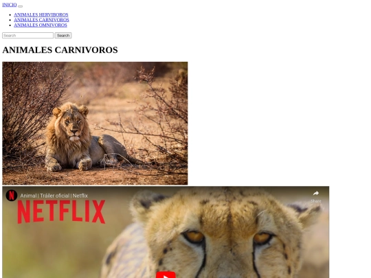 pagina/pagina2 screenshot